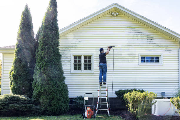 Best Building Exterior Washing  in Thorp, WI